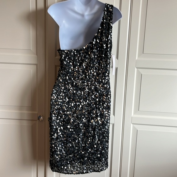 Adrianna Papell One
Shoulder Sequin Dress 100% Silk Silver Knee Length Sz 10 - Picture 6 of 15